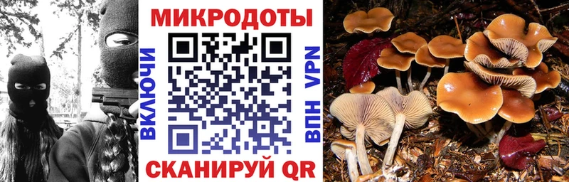 Псилоцибиновые грибы ЛСД  Воткинск 